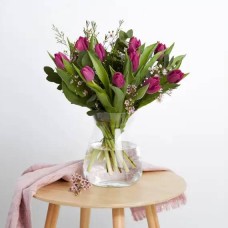 The violet tulips